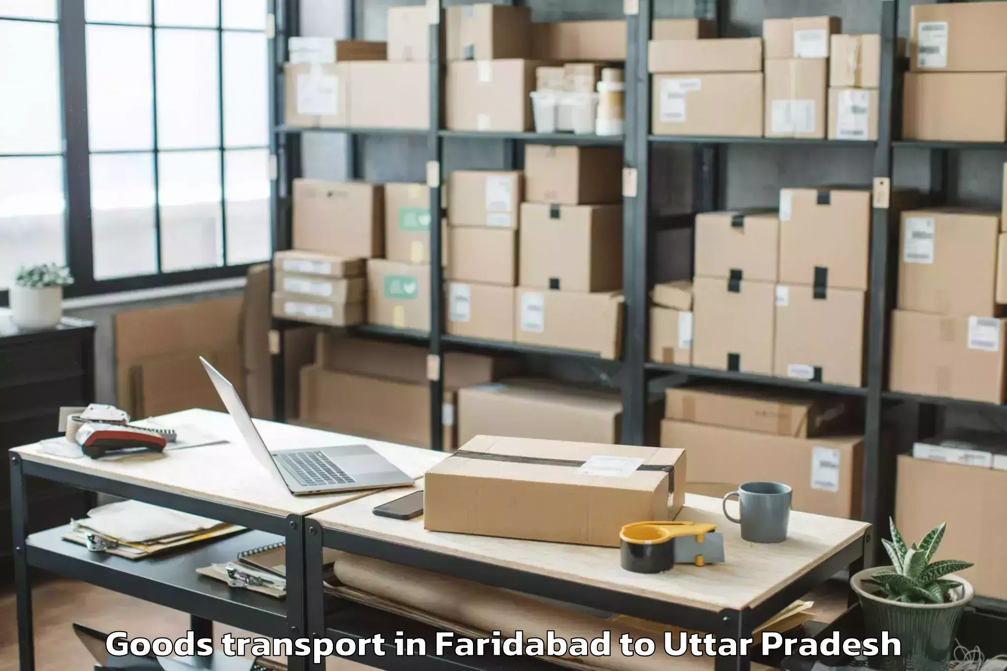 Trusted Faridabad to Balrampur Goods Transport